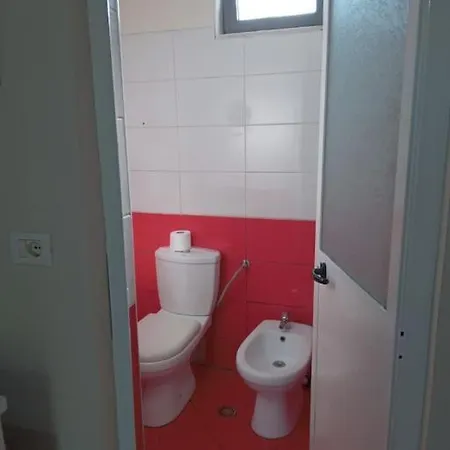 The Little Oasis Shkodra