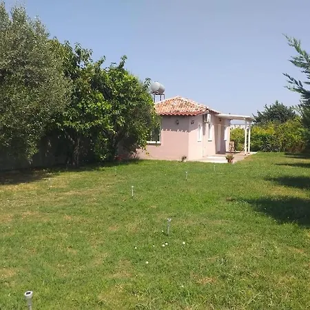 The Little Oasis Shkodër