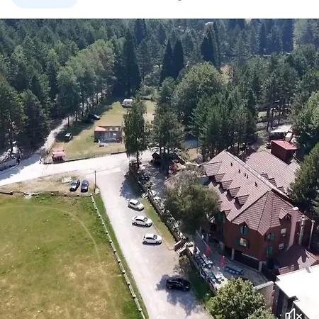 The Little Oasis * Shkodër