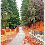 Βίλα The Little Oasis Σκόδρα