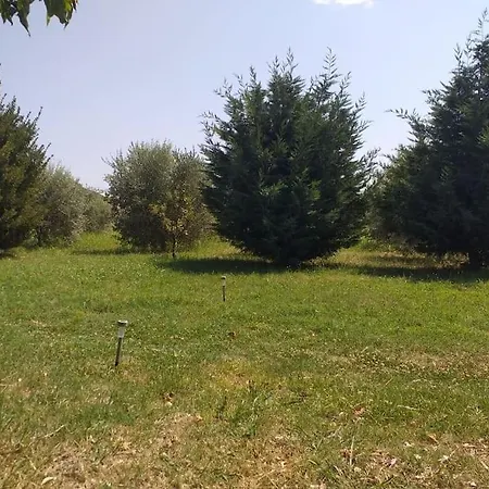 The Little Oasis Вилла *