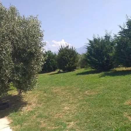 The Little Oasis וילה