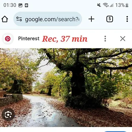 Вилла The Little Oasis *