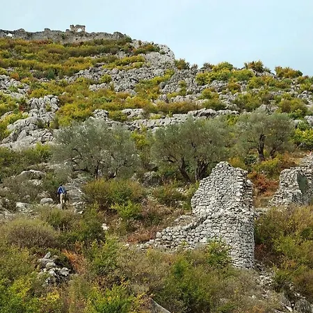 Вилла The Little Oasis Шкодер