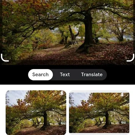 Вилла The Little Oasis Шкодер