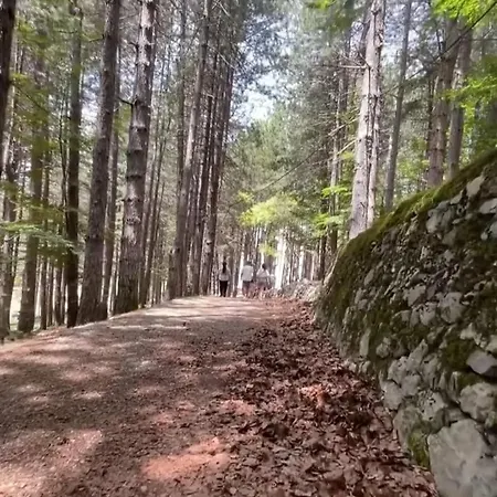 Вилла The Little Oasis Шкодер