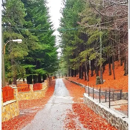 Вилла The Little Oasis Шкодер