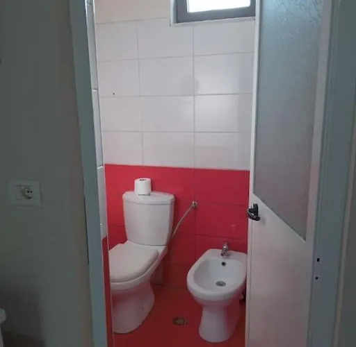 The Little Oasis Shkodër