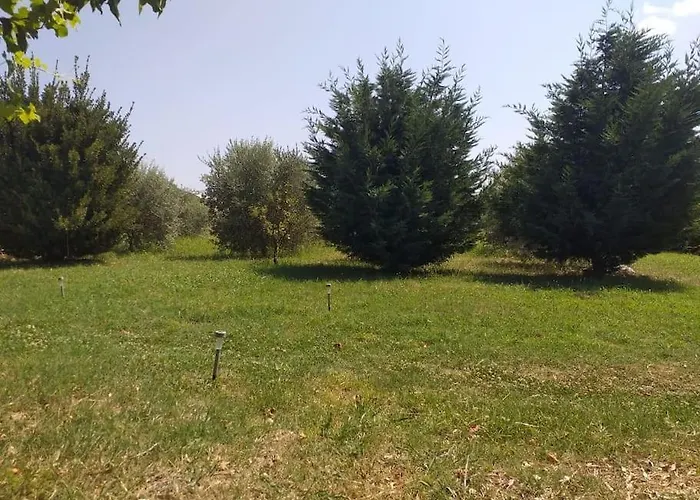 The Little Oasis Villa *