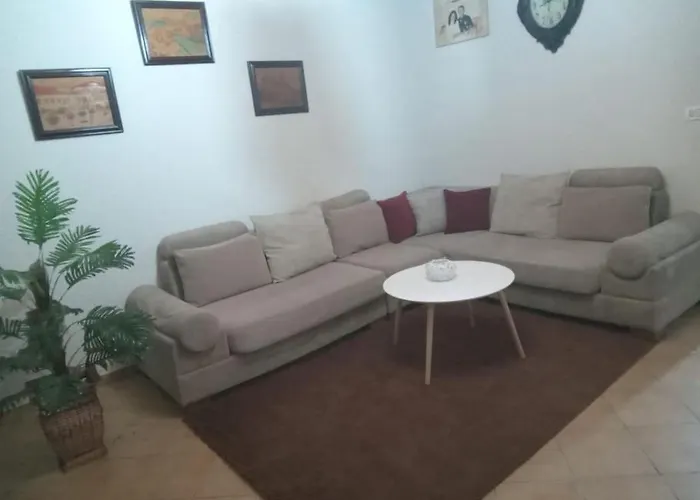 The Little Oasis Shkodër