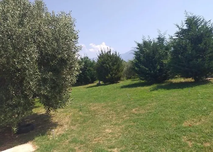 The Little Oasis Villa