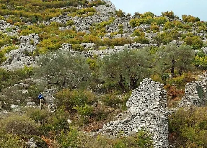 Villa The Little Oasis Shkodër