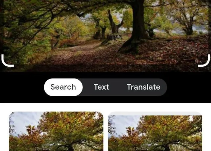 Villa The Little Oasis Shkodër