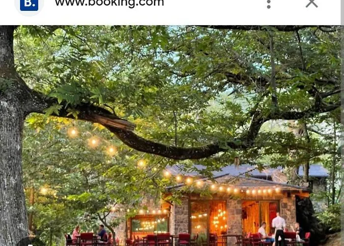 The Little Oasis Villa