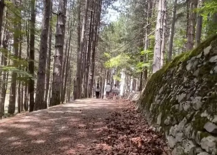 Villa The Little Oasis Shkodër