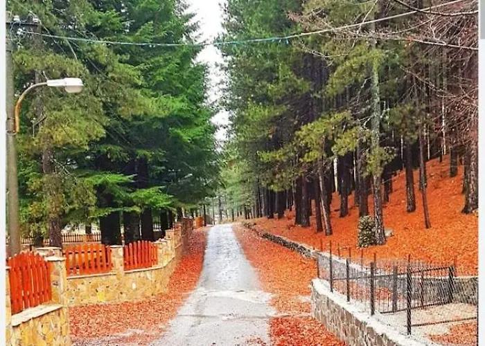 Villa The Little Oasis Shkodër